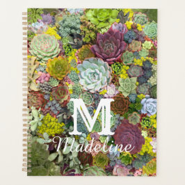 Agenda Colorida Greenerent Succulents