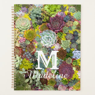 Agenda Colorida Greenerent Succulents