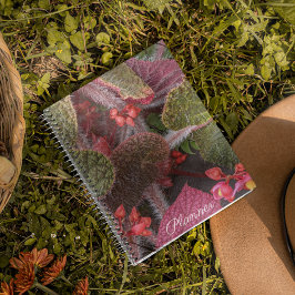 Agenda Colorida Hairy Begonia Floral