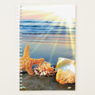 Agenda Conchas marítimas e estrelas-do-mar na praia