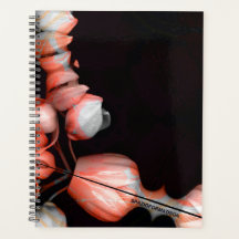 "Coração branco a preto do sol"