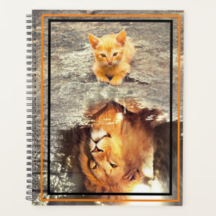 Agenda Coragem do gatinho