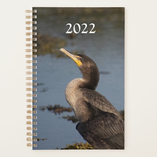 Agenda Cormorão de peito duplo (Frente)
