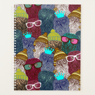 Agenda Coruja na coroa