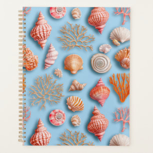 Agenda Costeira russa - Conchas, Starfish, Recife (15)