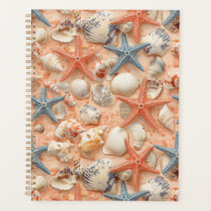 Agenda Costeira russa - Conchas, Starfish, Recife (8)