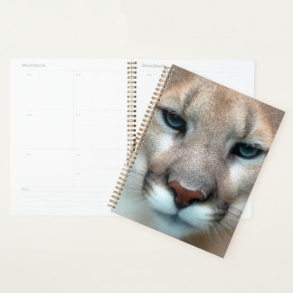 Agenda Cougar Mountain Lion Cat Destino do Animal