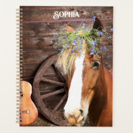 Agenda Country Western Horse Barn