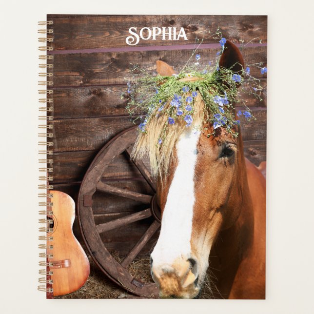 Agenda Country Western Horse Barn (Frente)