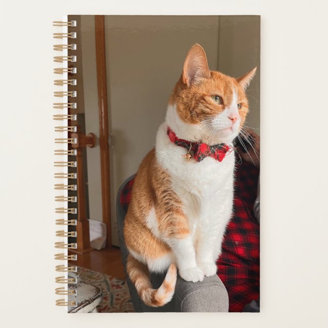 Agenda Cozy Tabby Cat Planner 8.5x11" (Frente)