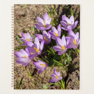 Agenda Crocodilos primavera bonitos