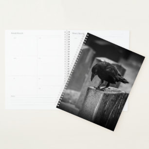 Agenda Crow do Cemitério de Queda