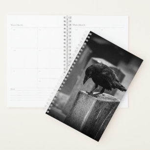 Agenda Crow do Cemitério de Queda