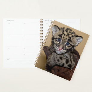 Agenda Cubo Leopardo Nublado