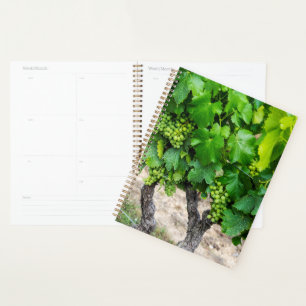 Agenda Cultivo de Uvas para Vinho, França