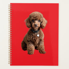 Agenda  Cute Teacup Poodle Red Folder