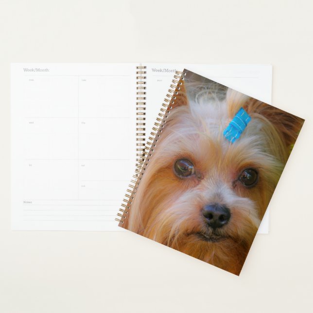 Agenda Cute Yorkshire Terrier Dog Head (Exibição)