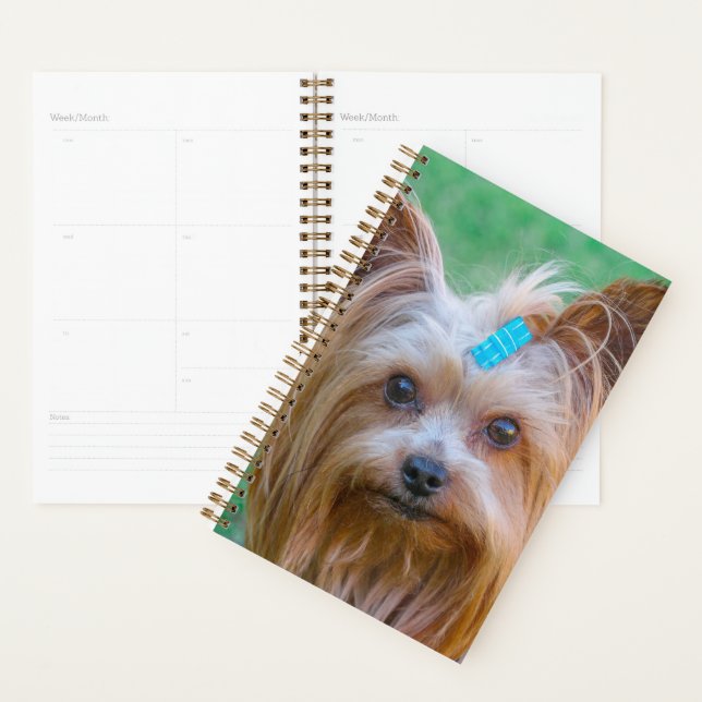 Agenda Cute Yorkshire Terrier Dog Head (Exibição)