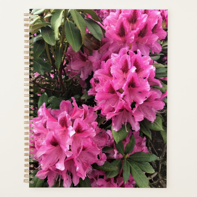 Agenda Cynthia Rhododendrons, Oregon (Frente)