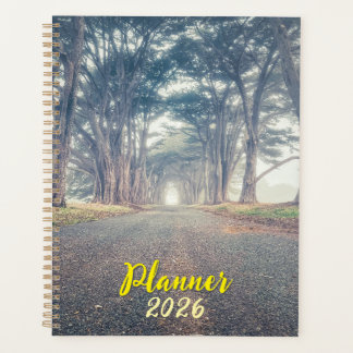 Agenda Cypress Tunnel Landscape