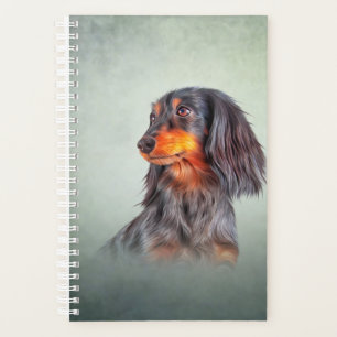Agenda Dachshund de cabelos longos da raça suína