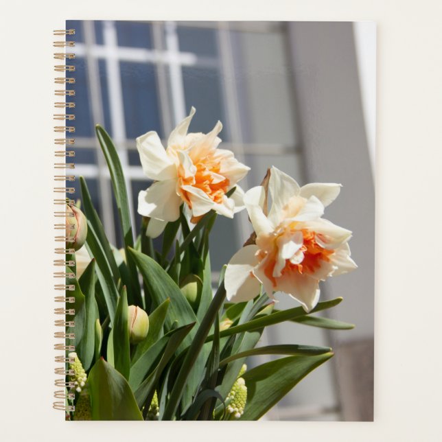 Agenda Daffodils fodils fodils primavera (Frente)