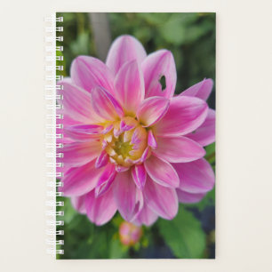 Agenda Dahlia Bloom, Jardim Rosa