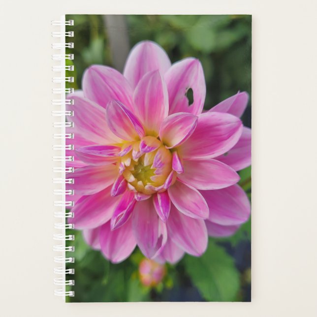 Agenda Dahlia Bloom, Jardim Rosa (Frente)