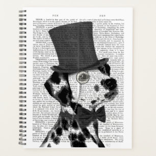 Agenda Dalmácia, Formal Hound e Chapéu