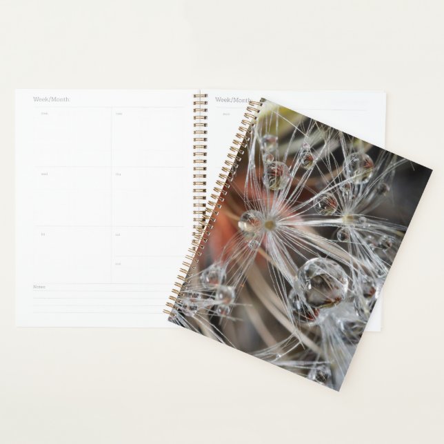 Agenda Dandelion Abstrato (Exibição)