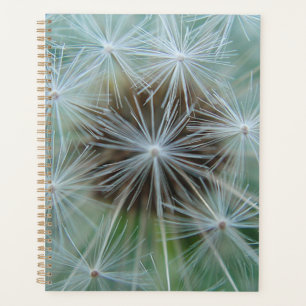 Agenda Dandelion Branco
