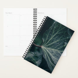Agenda Dark Ivy Leaf Nature Foto