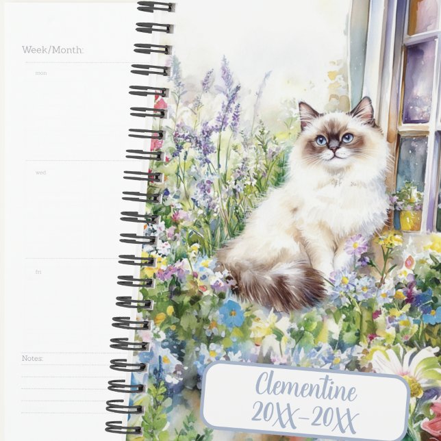 Agenda de compromissos não datada do gato Ragdoll  (Criador carregado)