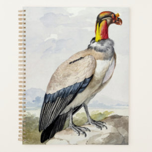 Agenda Decoração de Parede Vibrante do Exótico Rei Abutre