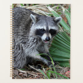 Agenda Deixe-me sozinho