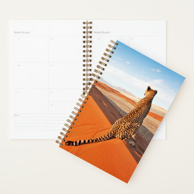 Agenda Desertos | Deserto Cheetah Savannah (Exibição)