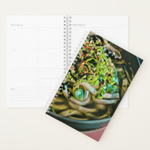 Agenda Design de amante de macarrão