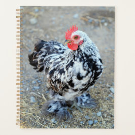 Agenda Diário para Notebook Bantam Cochin Mottled