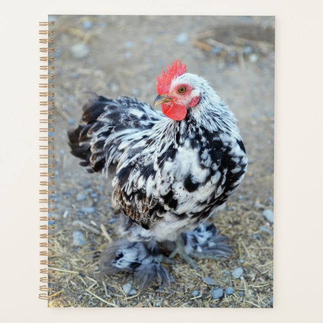 Agenda Diário para Notebook Bantam Cochin Mottled (Frente)