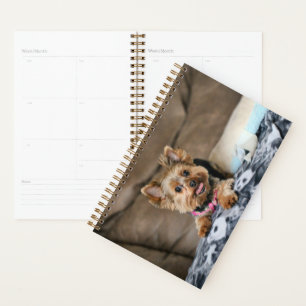 Agenda Dinâmico pequeno