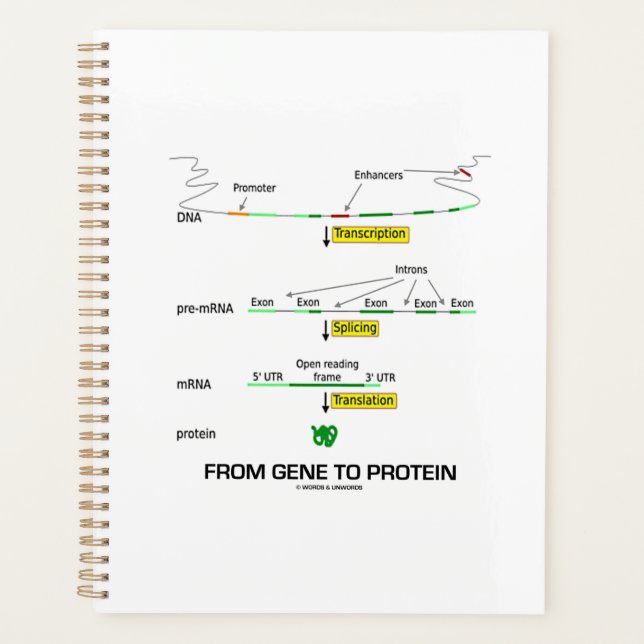 Agenda Do Gene À Biologia Molecular De Proteínas (Frente)