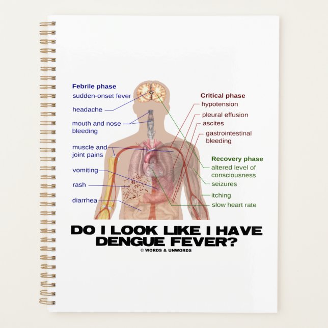 Agenda Do I Look Like I Have Dengue Fever? (Anatomy) (Frente)