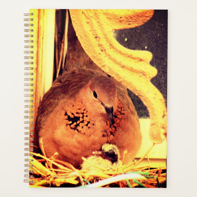 Agenda Doing Mama Dove (Frente)