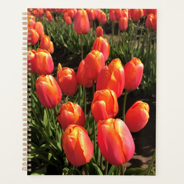 Agenda Dordogne Tulips, Oregon (Frente)