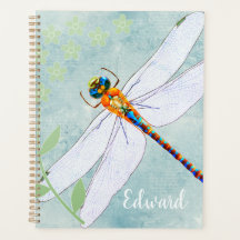 Dragonfly Vintage sobre fundo floral desbotado