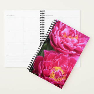 Agenda Duas Pinturas de Sangue de Peony Fuchsia