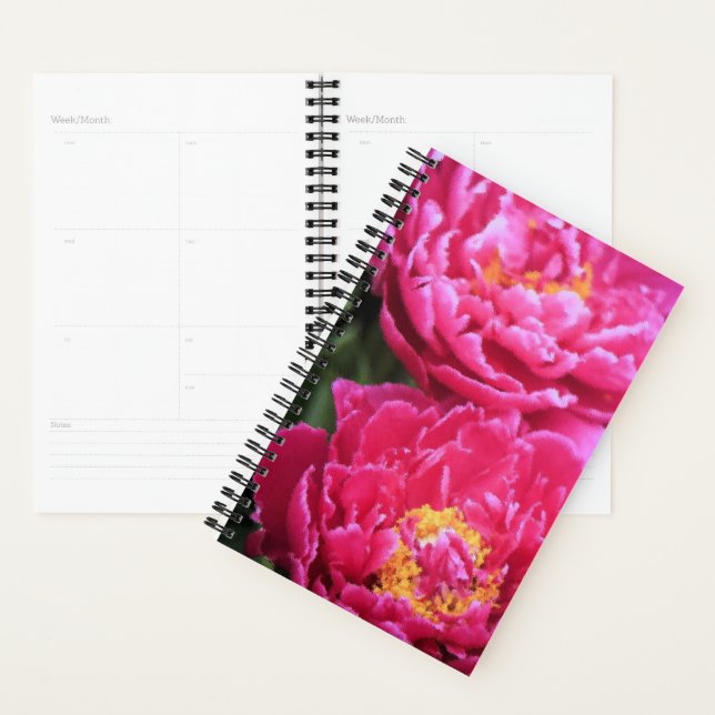 Agenda Duas Pinturas de Sangue de Peony Fuchsia (Exibição)