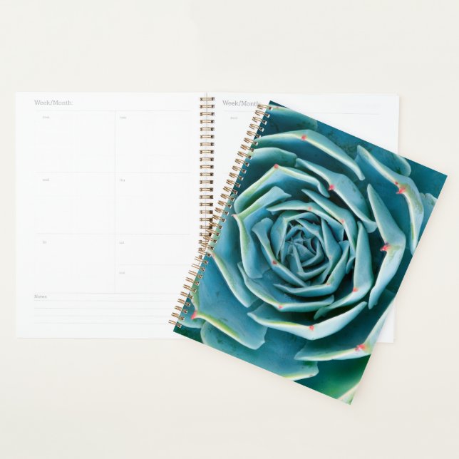 Agenda Echeveria Roseta, Jardim Secreto de Marrakech (Exibição)