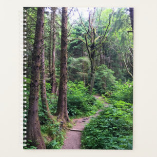 Agenda Eco-a State Park, Cannon Beach, Oregon