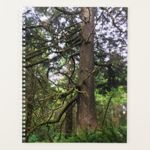 Agenda Eco-a State Park, Cannon Beach, Oregon